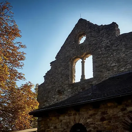 호텔 Burg & Gaestehaus By Schwarzenstein 3*