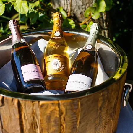 Burg & Gaestehaus By Schwarzenstein