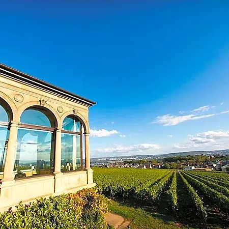 酒店 Burg & Gaestehaus By Schwarzenstein 3*