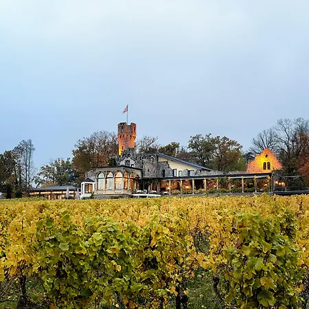 Burg & Gaestehaus By Schwarzenstein