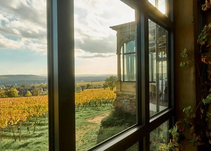 Burg&gästehaus By Schwarzenstein 3* Geisenheim