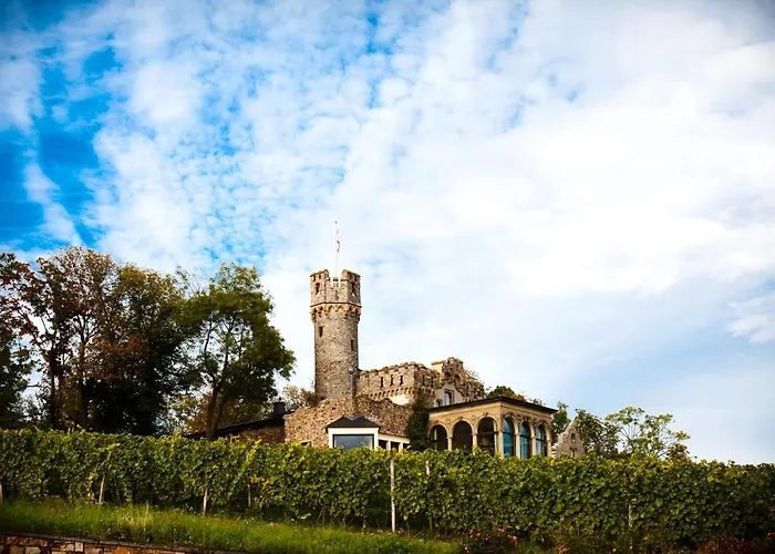 Burg&gästehaus By Schwarzenstein 3*